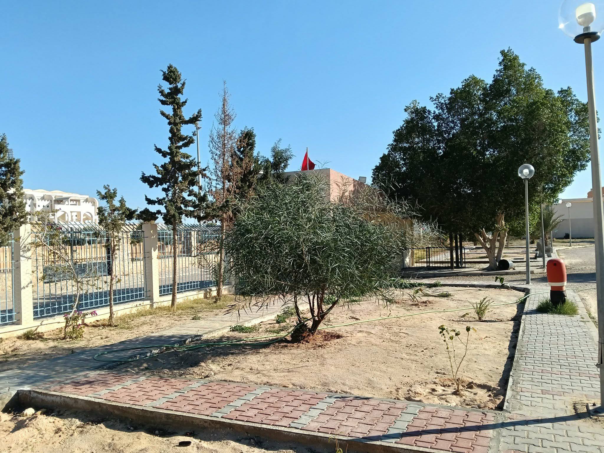 أخبار - 26 فيفري 2026